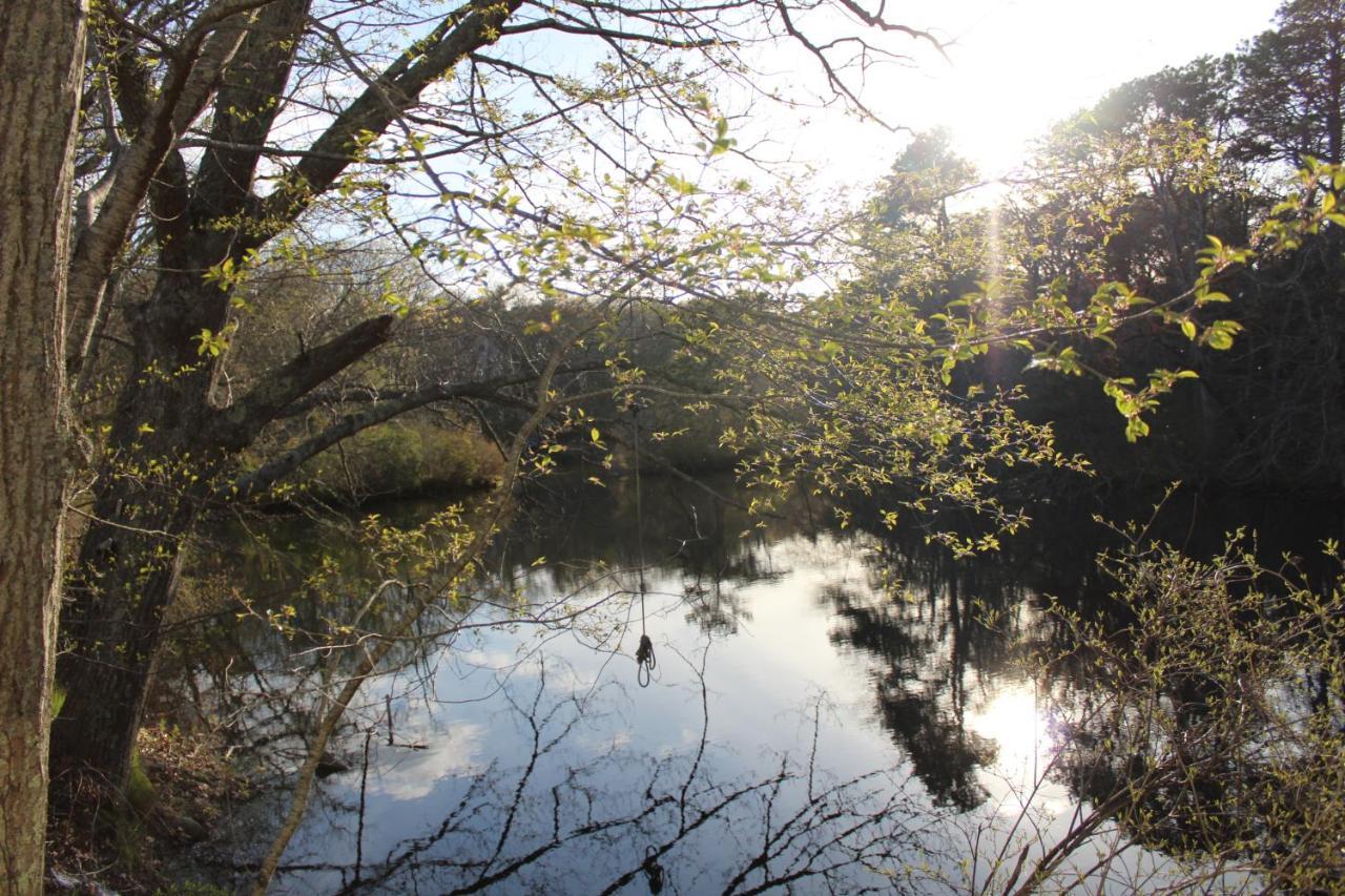 Herring Run Bourne Dış mekan fotoğraf