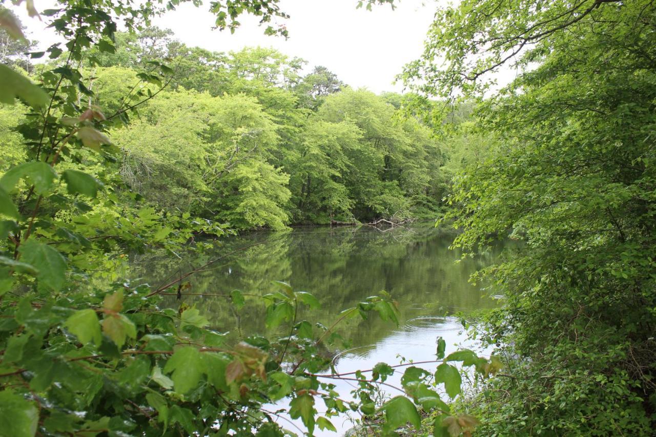 Herring Run Bourne Dış mekan fotoğraf