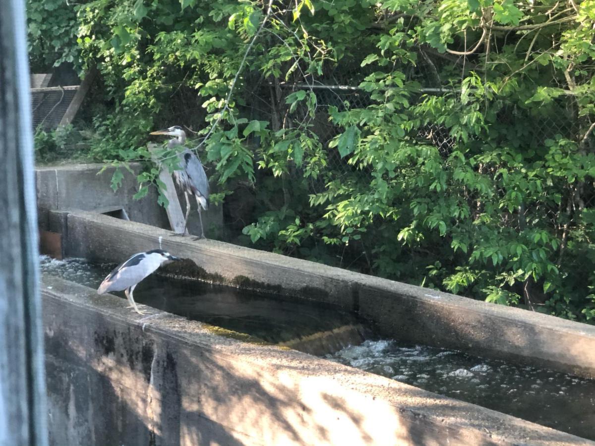 Herring Run Bourne Dış mekan fotoğraf