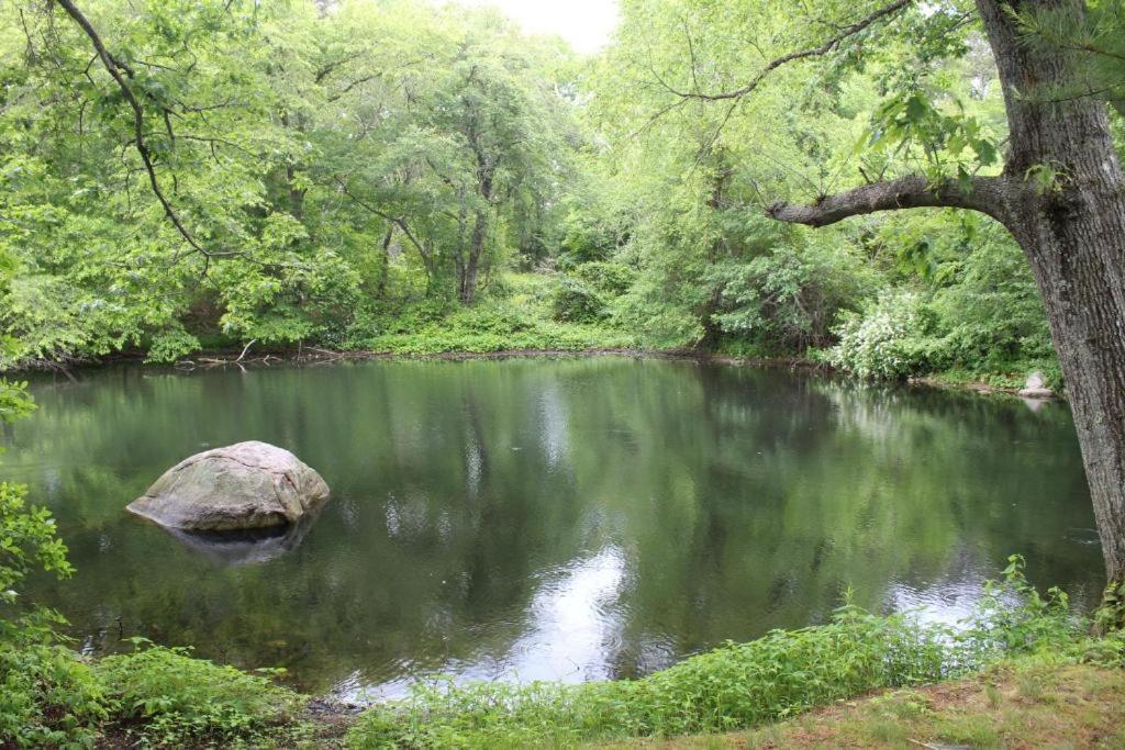 Herring Run Bourne Dış mekan fotoğraf