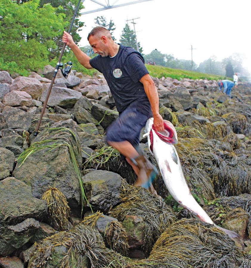Herring Run Bourne Dış mekan fotoğraf