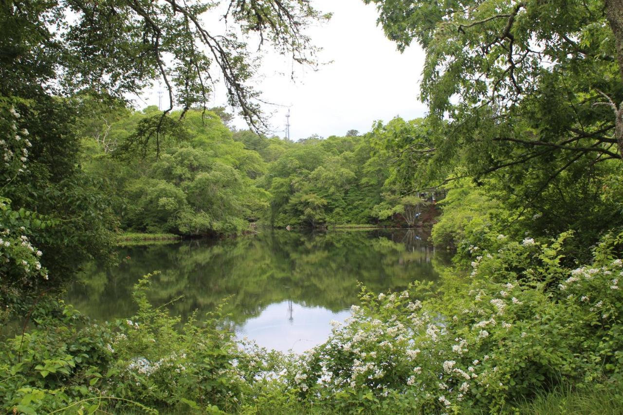 Herring Run Bourne Dış mekan fotoğraf