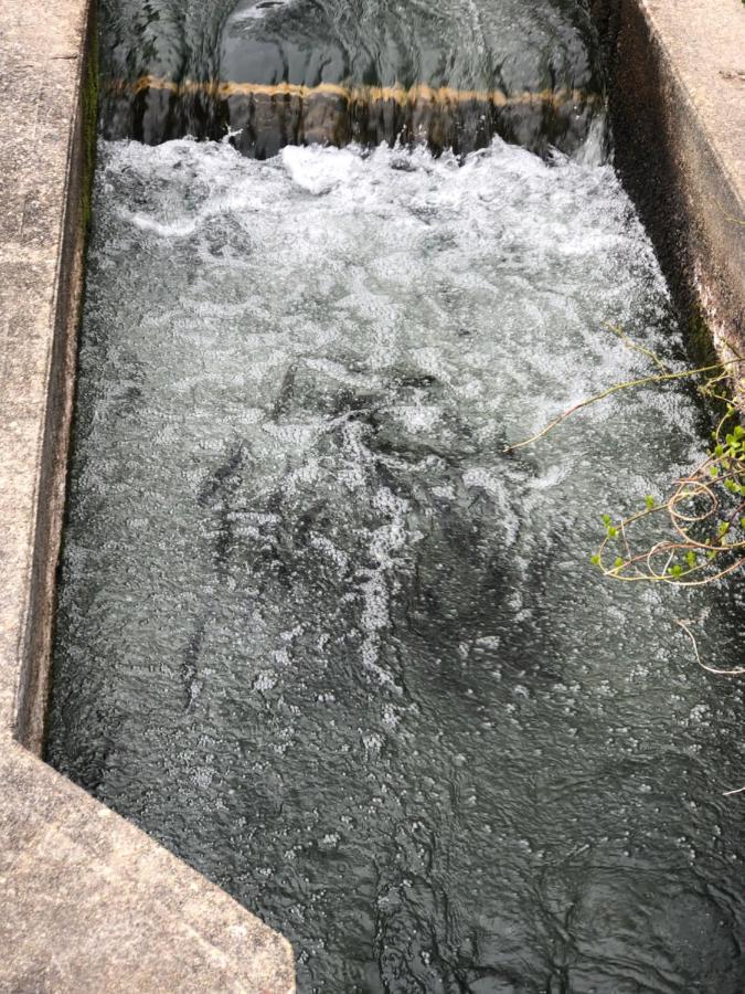 Herring Run Bourne Dış mekan fotoğraf